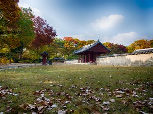 Preview wallpaper pagoda, temple, architecture, field, fence, trees, landscape