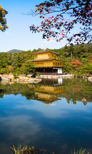 Preview wallpaper pagoda, temple, architecture, trees, lake, landscape