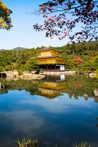 Preview wallpaper pagoda, temple, architecture, trees, lake, landscape