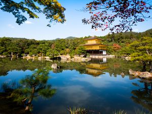 Preview wallpaper pagoda, temple, architecture, trees, lake, landscape