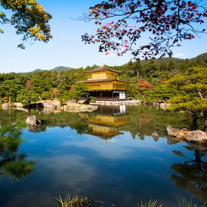 Preview wallpaper pagoda, temple, architecture, trees, lake, landscape