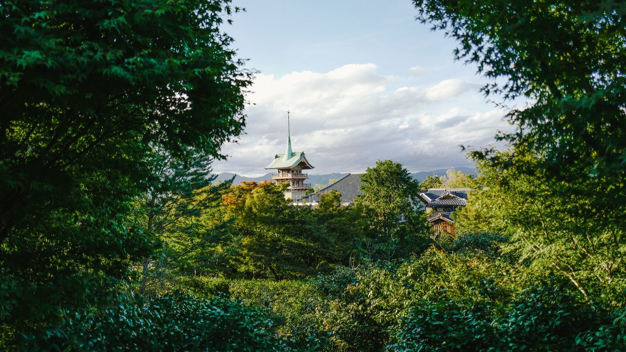 Wallpaper pagoda, temple, architecture, trees, nature, landscape