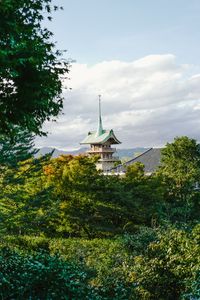 Preview wallpaper pagoda, temple, architecture, trees, nature, landscape