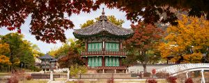 Preview wallpaper pagoda, temple, architecture, leaves