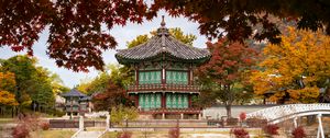 Preview wallpaper pagoda, temple, architecture, leaves