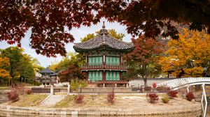 Preview wallpaper pagoda, temple, architecture, leaves