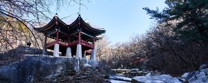 Preview wallpaper pagoda, temple, architecture, trees, snow, landscape