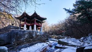 Preview wallpaper pagoda, temple, architecture, trees, snow, landscape