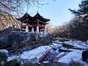 Preview wallpaper pagoda, temple, architecture, trees, snow, landscape