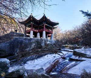 Preview wallpaper pagoda, temple, architecture, trees, snow, landscape