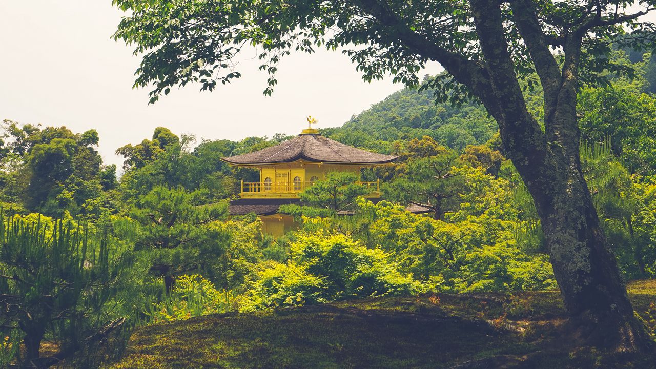 Wallpaper pagoda, temple, building, trees, nature
