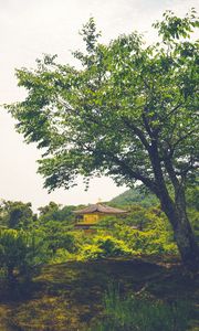 Preview wallpaper pagoda, temple, building, trees, nature