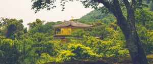 Preview wallpaper pagoda, temple, building, trees, nature