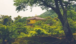 Preview wallpaper pagoda, temple, building, trees, nature