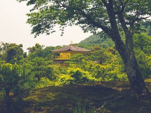 Preview wallpaper pagoda, temple, building, trees, nature