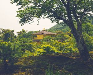 Preview wallpaper pagoda, temple, building, trees, nature