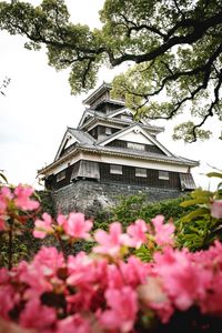 Preview wallpaper pagoda, temple, building, flowers, architecture