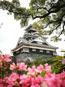 Preview wallpaper pagoda, temple, building, flowers, architecture