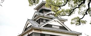 Preview wallpaper pagoda, temple, building, flowers, architecture