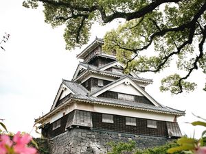 Preview wallpaper pagoda, temple, building, flowers, architecture