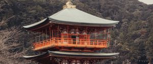 Preview wallpaper pagoda, temple, building, architecture