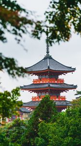 Preview wallpaper pagoda, temple, building, architecture, trees, branches
