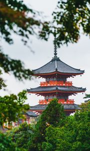 Preview wallpaper pagoda, temple, building, architecture, trees, branches