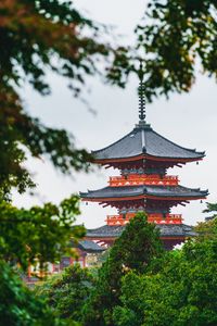 Preview wallpaper pagoda, temple, building, architecture, trees, branches