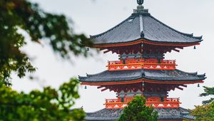 Preview wallpaper pagoda, temple, building, architecture, trees, branches