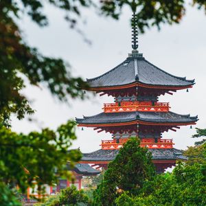 Preview wallpaper pagoda, temple, building, architecture, trees, branches