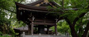 Preview wallpaper pagoda, temple, hydrangea, flowers, japan