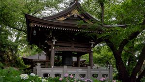 Preview wallpaper pagoda, temple, hydrangea, flowers, japan