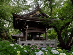 Preview wallpaper pagoda, temple, hydrangea, flowers, japan