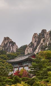 Preview wallpaper pagoda, temple, mountain, trees