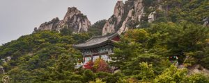 Preview wallpaper pagoda, temple, mountain, trees