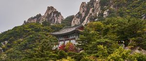 Preview wallpaper pagoda, temple, mountain, trees