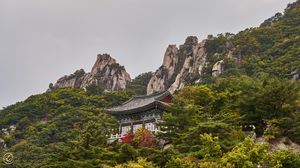Preview wallpaper pagoda, temple, mountain, trees