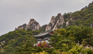 Preview wallpaper pagoda, temple, mountain, trees