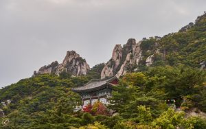 Preview wallpaper pagoda, temple, mountain, trees