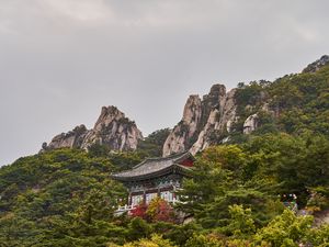 Preview wallpaper pagoda, temple, mountain, trees