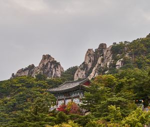 Preview wallpaper pagoda, temple, mountain, trees