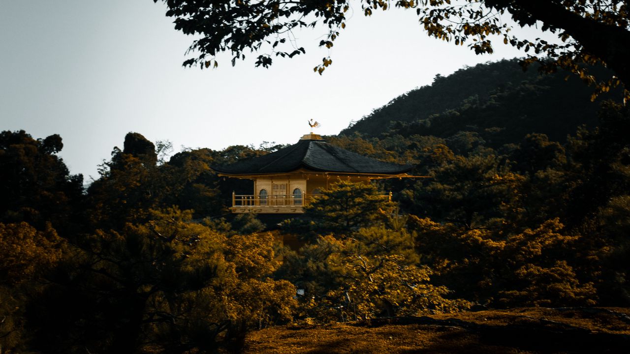 Wallpaper pagoda, temple, trees, hills, nature