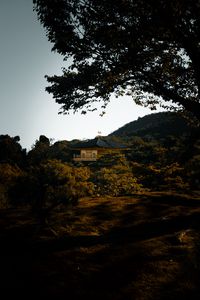 Preview wallpaper pagoda, temple, trees, hills, nature