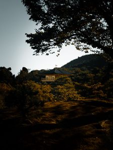 Preview wallpaper pagoda, temple, trees, hills, nature