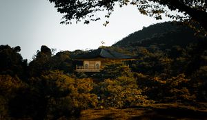 Preview wallpaper pagoda, temple, trees, hills, nature