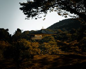 Preview wallpaper pagoda, temple, trees, hills, nature