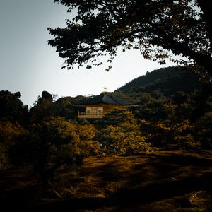 Preview wallpaper pagoda, temple, trees, hills, nature