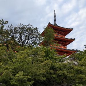 Preview wallpaper pagoda, temple, trees, stairs, architecture