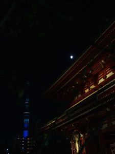 Preview wallpaper pagoda, tower, buildings, moon, night, architecture, asia