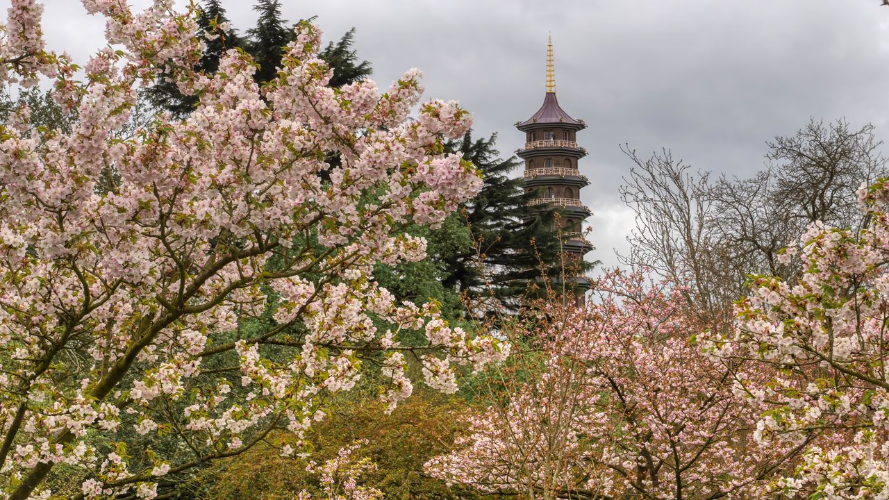 Wallpaper pagoda, tower, trees, flowers, sakura, spring